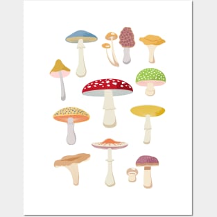 Mushroom Aesthetic Posters and Art